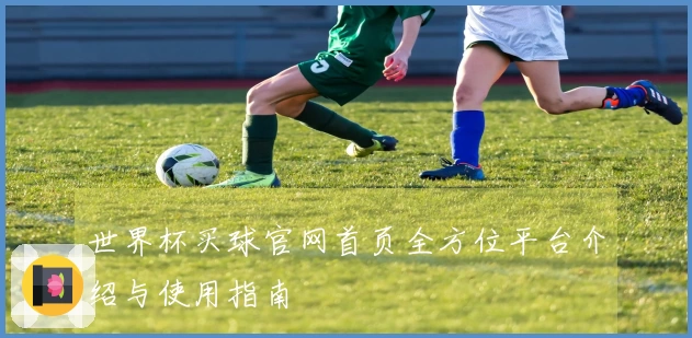 世界杯买球官网首页全方位平台介绍与使用指南