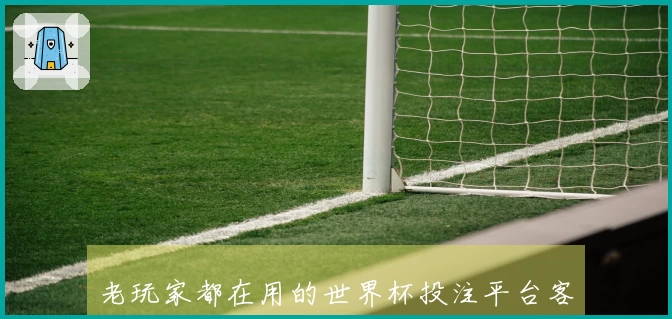 老玩家都在用的世界杯投注平台客户端下载，福利多多，功能全，轻松上手。
