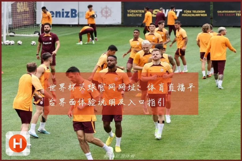 世界杯买球官网网址：体育直播平台界面体验说明及入口指引